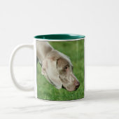 Tasse de Weimaraner (Gauche)