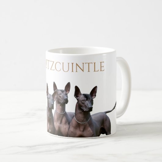 Tasse de Xoloitzcuintle (Devant droit)