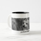 Tasse de Yorkie (Devant gauche)