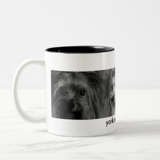 Tasse de Yorkie