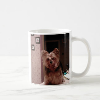 Tasse de Yorkie