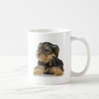 Tasse de Yorkshire Terrier