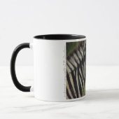 Tasse de zèbre (Gauche)