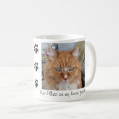 Tasse d'écarlate (Devant droit)