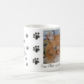 Tasse d'écarlate (Centre)