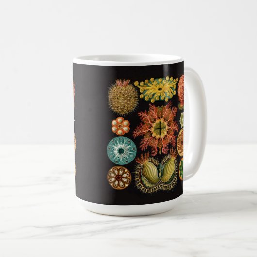 Tasse d'échinoderme de Haeckel grande (Devant droit)