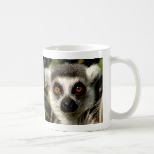 Tasse déconcertante de lémur (Droite)