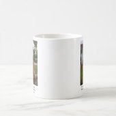 Tasse d'écureuil (Centre)