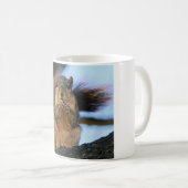 Tasse d'écureuil (Devant droit)