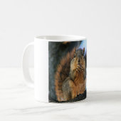 Tasse d'écureuil (Devant gauche)