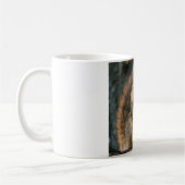 Tasse d'écureuil (Gauche)