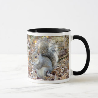 Tasse d'écureuil