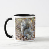 Tasse d'écureuil (Gauche)