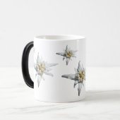 Tasse d'edelweiss (Devant gauche)