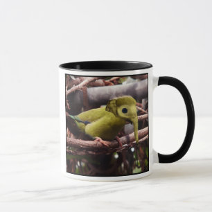 Tasse d'Elebird