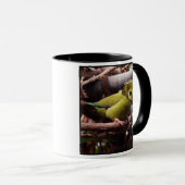 Tasse d'Elebird (Devant droit)