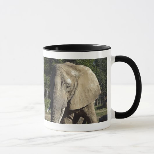 Tasse d'éléphant (Droite)