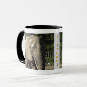 Tasse d'éléphant (Devant gauche)