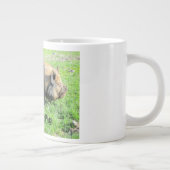 Tasse d'éléphant de porc de Kunekune (Droite)