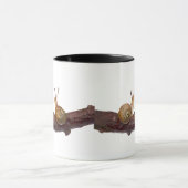 Tasse d'entretien de bébé escargot (Centre)