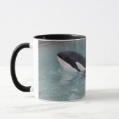 Tasse d'épaulard (d'orque) (Gauche)