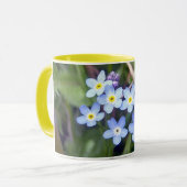 Tasse des myosotis des marais 2 (Devant gauche)