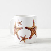 tasse d'étoiles de mer (Devant gauche)