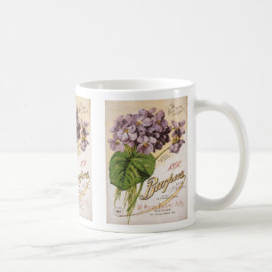 Tasse d'hortensia de catalogue de Burpee
