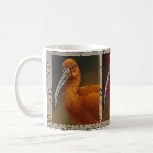 Tasse d'IBIS d'écarlate d'Andrew Denman (Gauche)