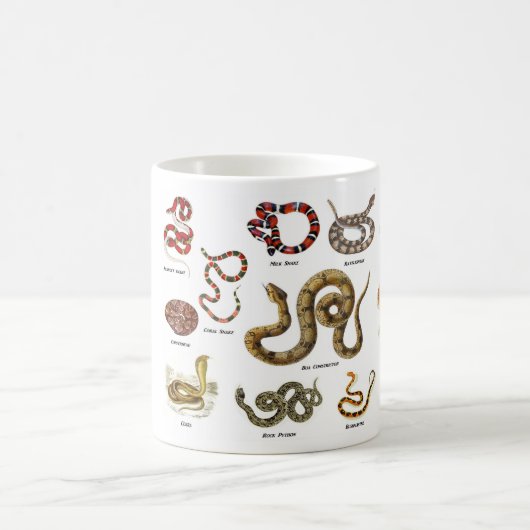Tasse d'identification de serpent (Centre)