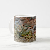 Tasse d'iguane (Devant gauche)