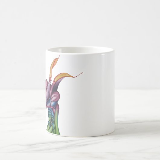Tasse d'insecte de mante de prière (Centre)