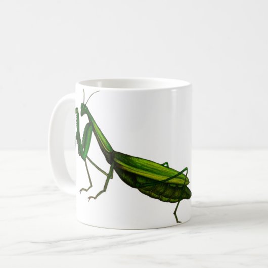 Tasse d'insecte, vert de mante de prière (Devant gauche)
