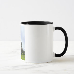 Tasse d'Iwo Jima