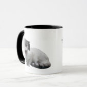 Tasse d'obtention du diplôme de chat (Devant gauche)