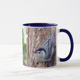 Tasse d'oiseau de sittelle breasted par blanc