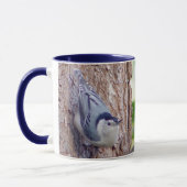 Tasse d'oiseau de sittelle breasted par blanc (Gauche)