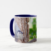 Tasse d'oiseau de sittelle breasted par blanc (Devant gauche)