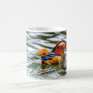 Tasse d'oiseaux - canard de mandarine