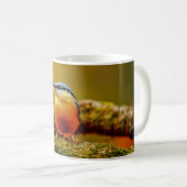 Tasse d'oiseaux - sittelle (Devant droit)