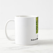 Tasse - Dominique (Gauche)