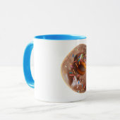 Tasse Donuts (Devant gauche)