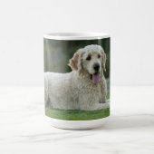 Tasse d'or de griffonnage (Centre)