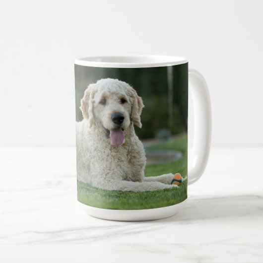 Tasse d'or de griffonnage (Devant droit)
