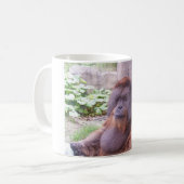Tasse d'orang-outan (Devant gauche)