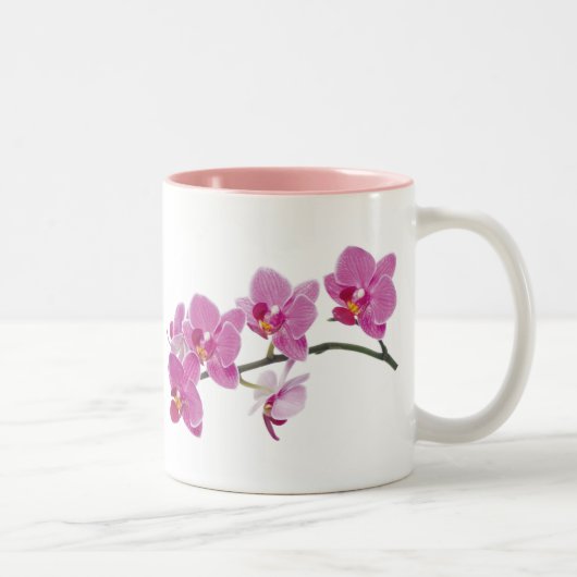 TASSE D'ORCHIDÉE (Droit)