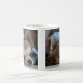 Tasse douce de chiot (Centre)