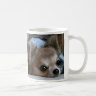Tasse douce de chiot
