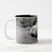 Tasse d'ours blanc de sommeil (Gauche)