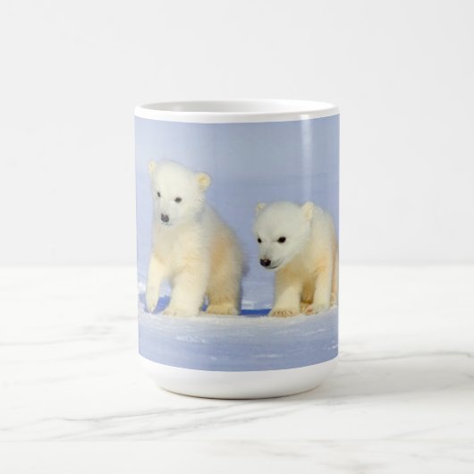 Tasse d'ours blancs (Centre)